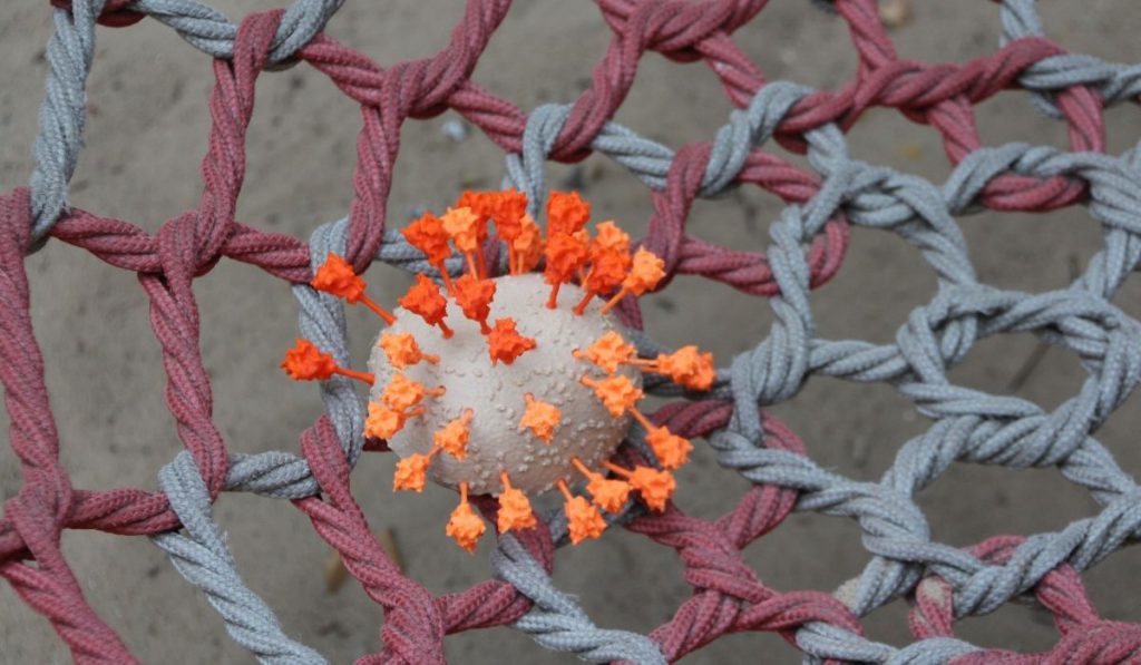 hanging net with a toy